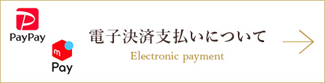 電子決済支払いについて